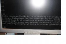stümper - Kopie.jpg