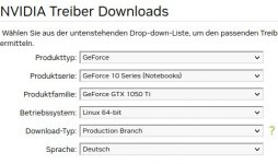 Nvidia Treiber Production Brunch.jpg