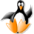 Cobiweb