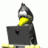 ViperXL2D